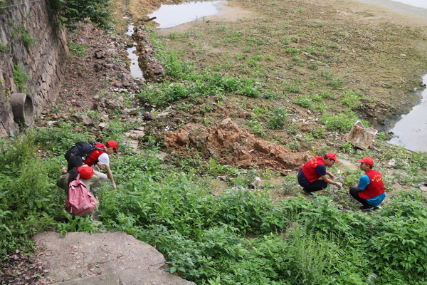 1495768574222603.jpg IMG_2088_调整大小.JPG