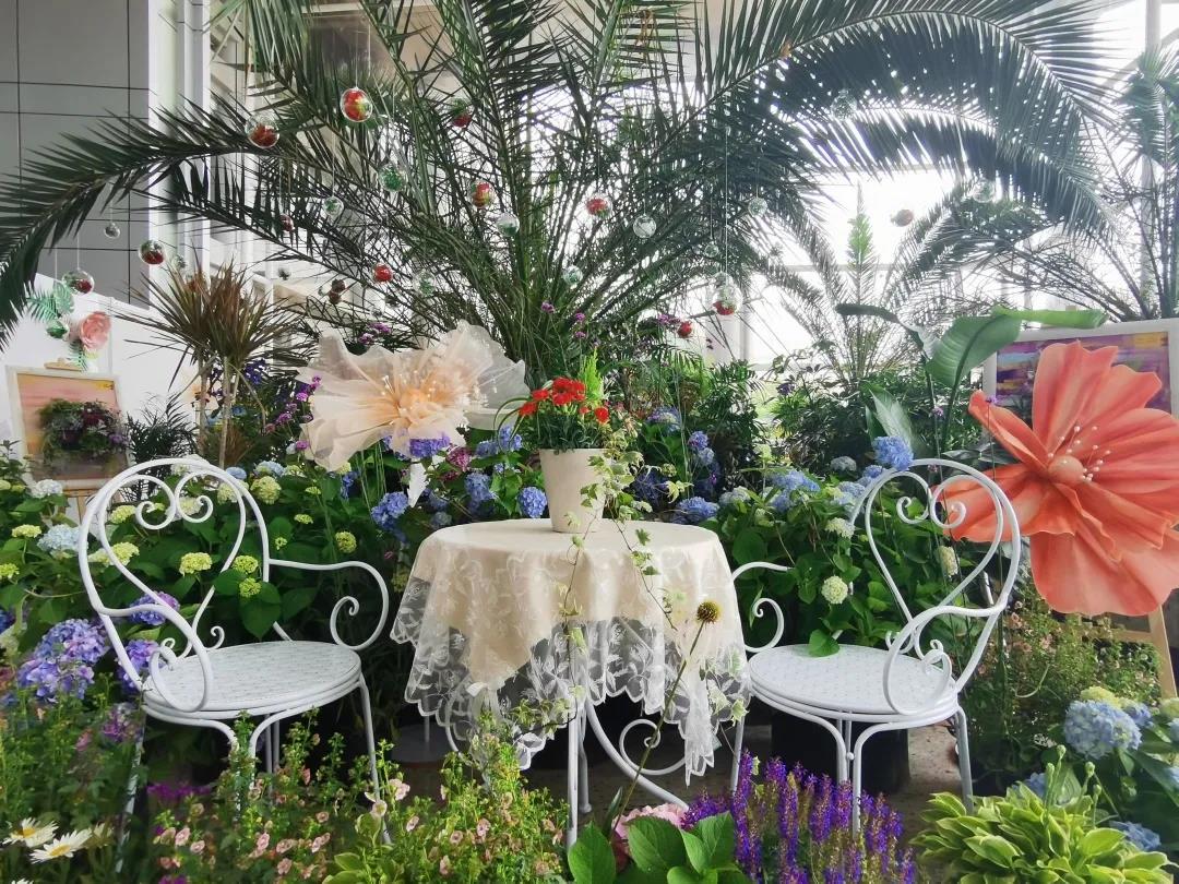 1622629760427032.jpg 1622629760427032.jpg